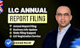 prepare llc annual report filing and handle compliance fast to avoid penalties