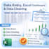 do data entry, excel tasks, and data cleaning