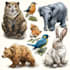 draw all kinds of animals