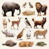 draw all kinds of animals