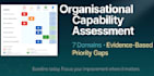 provide a concise, evidence based capability assessment