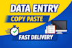 do data entry, copy paste, typing and excel work