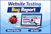 test your website and find bugs manually