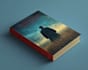 do a professional book cover, paperback, ebook hardcover