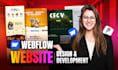 do webflow website development and design, webflow expart