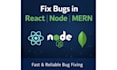 fix bugs in react, node js mern apps