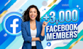 instantly gain 3000 facebook members fast