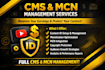 manage complete mcn and cms setup, monetization