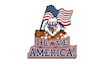 design showcases american pride logo