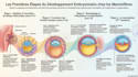 make easy biology notes,clear biology explanations