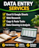 do accurate data entry and excel work