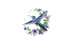 design unique hummingbird graphic logo