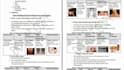 write SEO health, nutrition, and skincare articles and blog posts