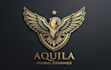 create awesome and gorgeous eagle logo design