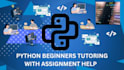 help beginners with python assignments and basic coding