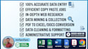 do professional data entry, copy paste and web research