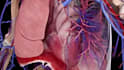 create simple 3d surgery and medical animation video