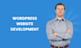 develop perfect modern wordpress website