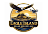design an eagle, lion, tiger, animal logo and bird illustration