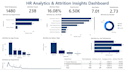 create a professional HR analytics dashboard in power bi