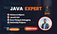 solve java oop programming tasks and university projects