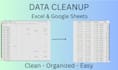 clean, format, and organize your excel or google sheets data