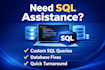 write sql queries and fix database problems