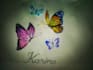 draw a beautiful butterfly scene with creative hand drawing