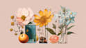 draw illustrations with flowers and different objects