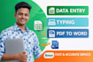 iam a professional data entry worker providing fast delivery