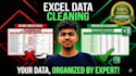 professionally clean and organize your data in excel