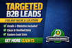 provide targeted b2b leads with emails and websites