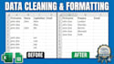 do professional data cleaning, deduplication, and data formatting