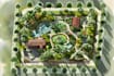 make property map, plat map, site plan, landscape design