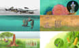 educational illustration for kids