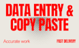 do data entry and copy paste jobs