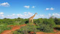 plan your kenya perfect safaris