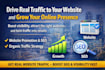 do website promotion SEO optimization and organic traffic growth