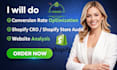 do conversion rate optimization shopify cro shopify store audit website