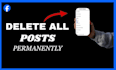 delete old social media posts and do a professional social media clean up