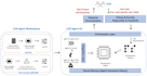 build  ai automation systems using llms