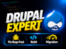 develop professional drupal website