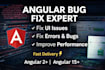 fix angular bugs UI issues and frontend errors