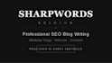 write SEO blog articles and website copy for your business