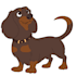 provide digital animal illustrations