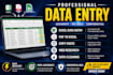 do data entry, web research and excel data entry jobs