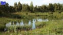 create realistic 3d ue5 game environment with level design full scene setup