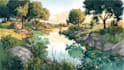 create watercolor and digital illustrations