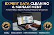 provide professional data management, CRM cleanup, and spreadsheet organization