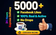deliver real facebook followers for your business page